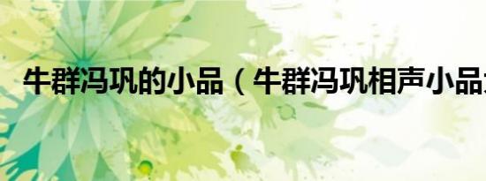 牛群冯巩的小品（牛群冯巩相声小品大全）