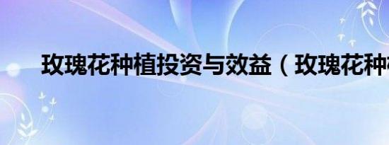 玫瑰花种植投资与效益（玫瑰花种植）