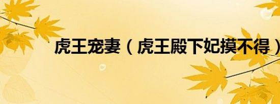 虎王宠妻（虎王殿下妃摸不得）
