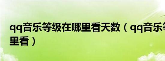 qq音乐等级在哪里看天数（qq音乐等级在哪里看）