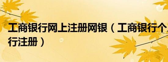 工商银行网上注册网银（工商银行个人网上银行注册）