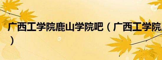 广西工学院鹿山学院吧（广西工学院鹿山学院）
