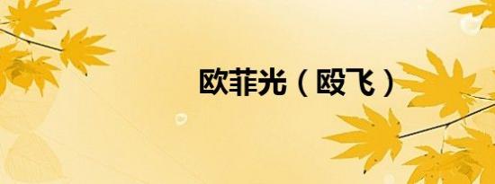 欧菲光（殴飞）