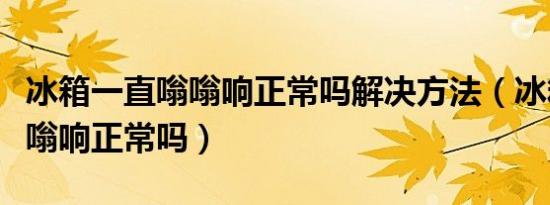 冰箱一直嗡嗡响正常吗解决方法（冰箱一直嗡嗡响正常吗）