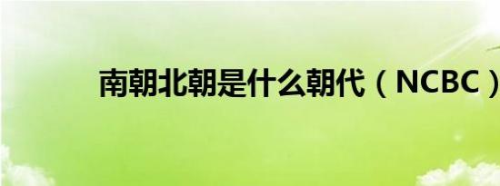 南朝北朝是什么朝代（NCBC）
