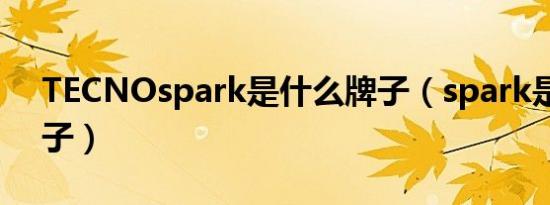 TECNOspark是什么牌子（spark是什么牌子）