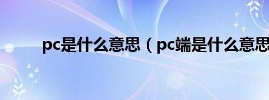 pc是什么意思（pc端是什么意思）