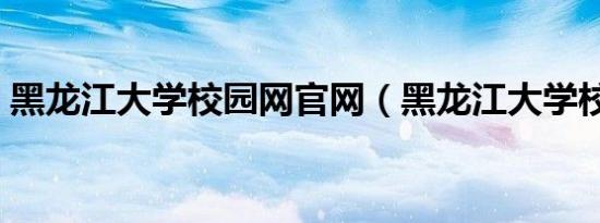 黑龙江大学校园网官网（黑龙江大学校园网）