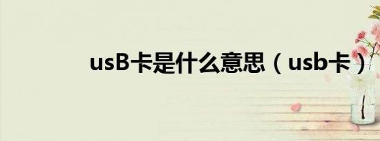 usB卡是什么意思（usb卡）