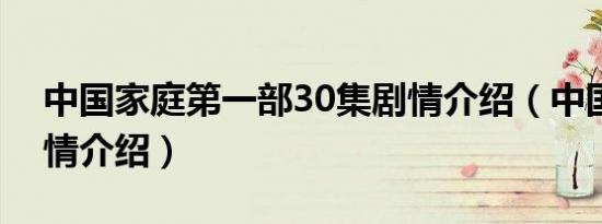 中国家庭第一部30集剧情介绍（中国家庭剧情介绍）