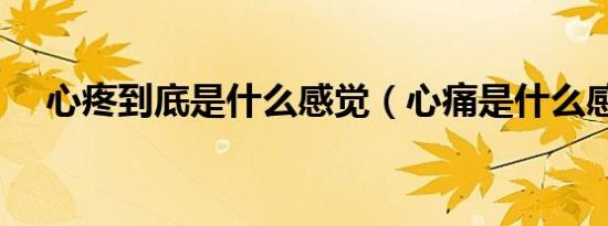 如果深爱是过错南霆（如果深爱）