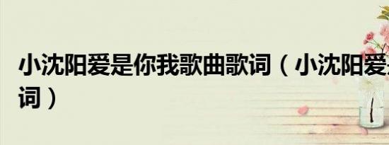 小沈阳爱是你我歌曲歌词（小沈阳爱是你我歌词）