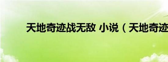 天地奇迹战无敌 小说（天地奇迹）