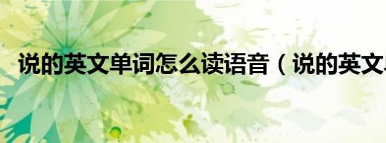 说的英文单词怎么读语音（说的英文单词）