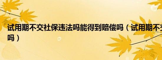 试用期不交社保违法吗能得到赔偿吗（试用期不交社保违法吗）