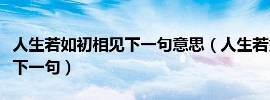 人生若如初相见下一句意思（人生若如初相见下一句）