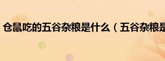 仓鼠吃的五谷杂粮是什么（五谷杂粮是什么）