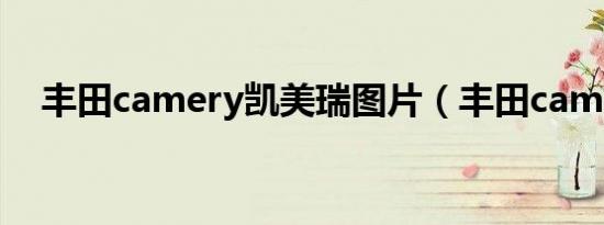 丰田camery凯美瑞图片（丰田camery）