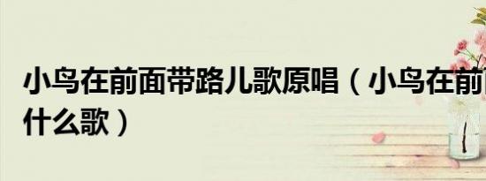 小鸟在前面带路儿歌原唱（小鸟在前面带路是什么歌）