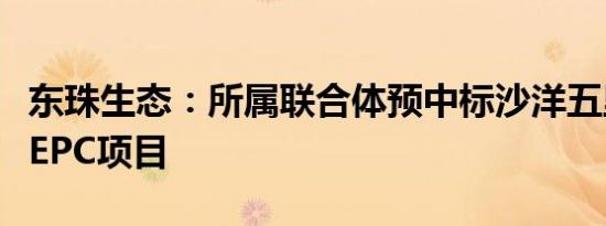 会员卡等级名字大全（会员卡等级名称大全）