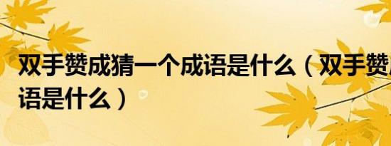 双手赞成猜一个成语是什么（双手赞成打一成语是什么）
