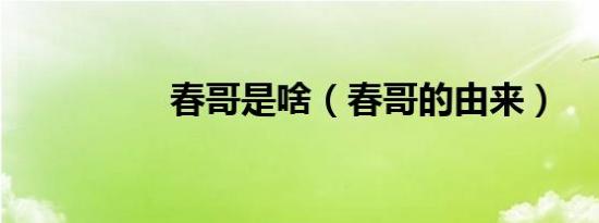 春哥是啥（春哥的由来）