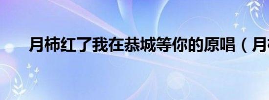月柿红了我在恭城等你的原唱（月柿）