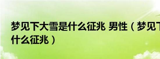 梦见下大雪是什么征兆 男性（梦见下大雪是什么征兆）
