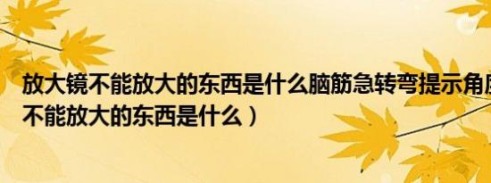 放大镜不能放大的东西是什么脑筋急转弯提示角度（放大镜不能放大的东西是什么）