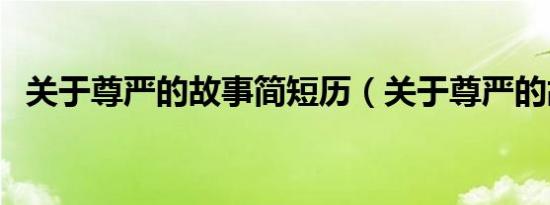 关于尊严的故事简短历（关于尊严的故事）