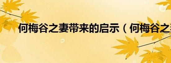何梅谷之妻带来的启示（何梅谷之妻）