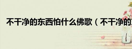 不干净的东西怕什么佛歌（不干净的东西）