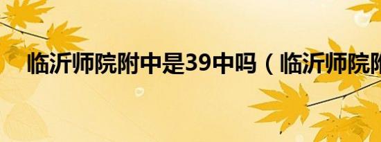 临沂师院附中是39中吗（临沂师院附中）