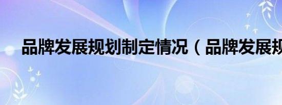 品牌发展规划制定情况（品牌发展规划）