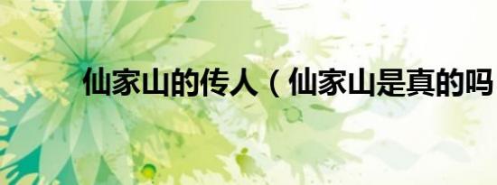 仙家山的传人（仙家山是真的吗）