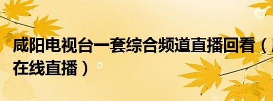 咸阳电视台一套综合频道直播回看（咸阳一套在线直播）