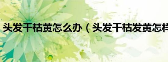 头发干枯黄怎么办（头发干枯发黄怎样调理）