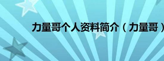 力量哥个人资料简介（力量哥）
