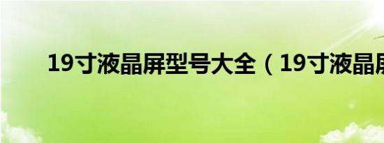 19寸液晶屏型号大全（19寸液晶屏）