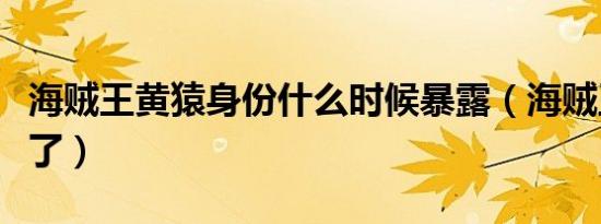海贼王黄猿身份什么时候暴露（海贼王黄猿死了）