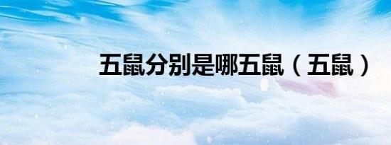 五鼠分别是哪五鼠（五鼠）