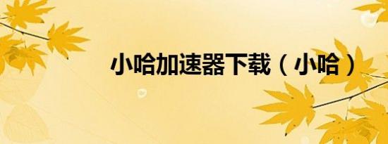 小哈加速器下载（小哈）