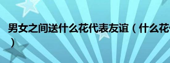 男女之间送什么花代表友谊（什么花代表友谊）