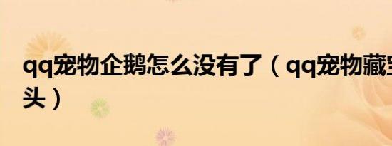 qq宠物企鹅怎么没有了（qq宠物藏宝图小锄头）