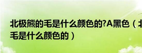 北极熊的毛是什么颜色的?A黑色（北极熊的毛是什么颜色的）