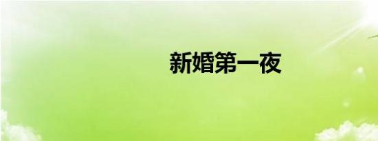 新婚第一夜