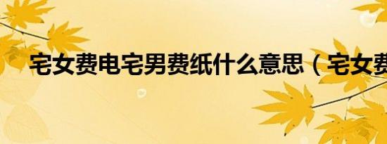 宅女费电宅男费纸什么意思（宅女费电）