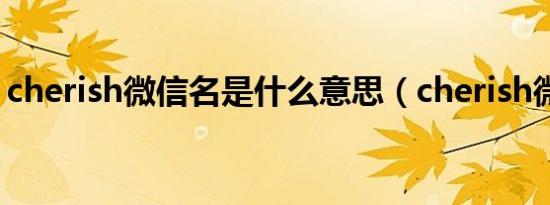 cherish微信名是什么意思（cherish微信名）