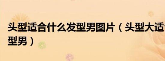 头型适合什么发型男图片（头型大适合什么发型男）
