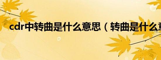 cdr中转曲是什么意思（转曲是什么意思）